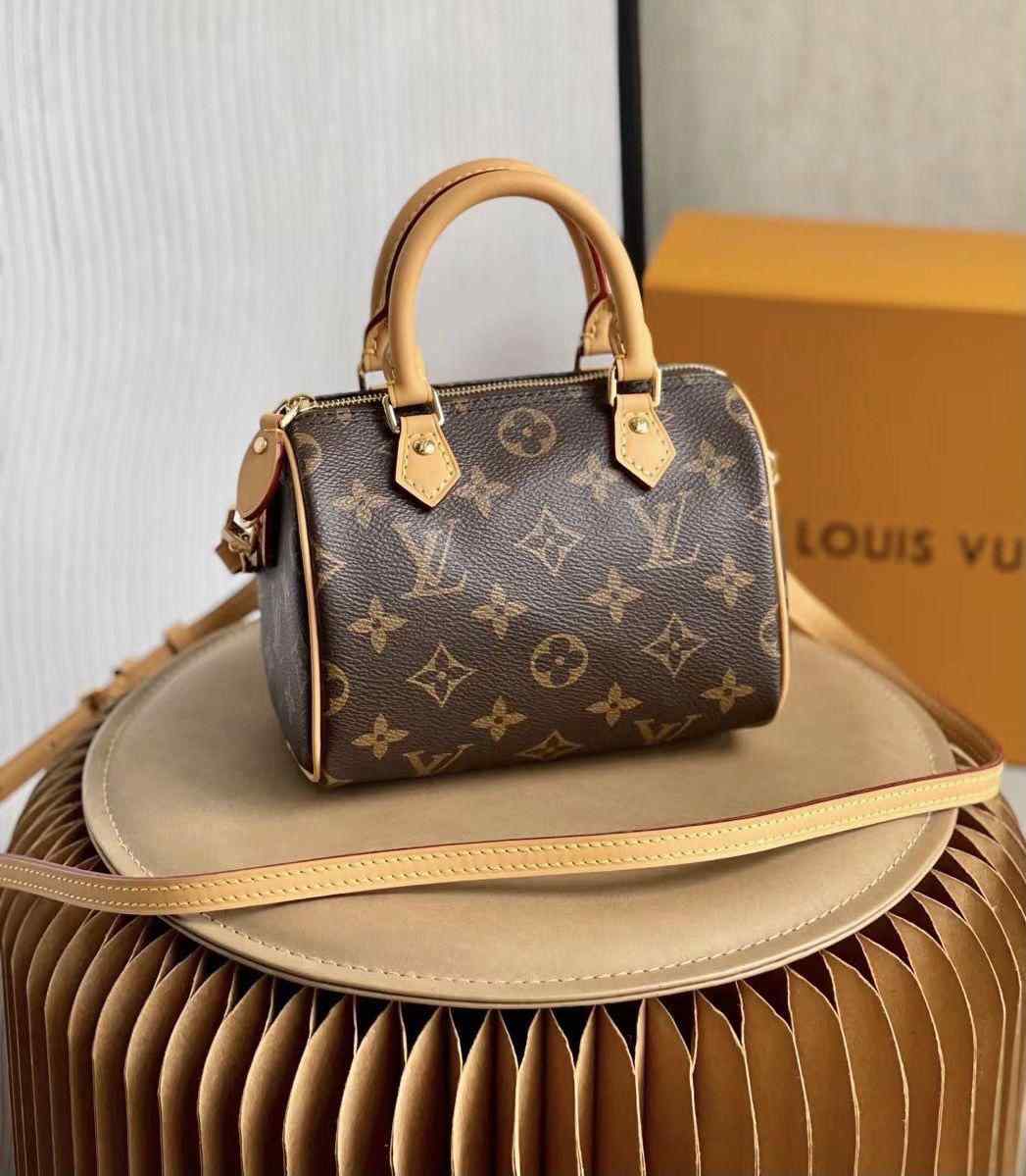 LV Bag