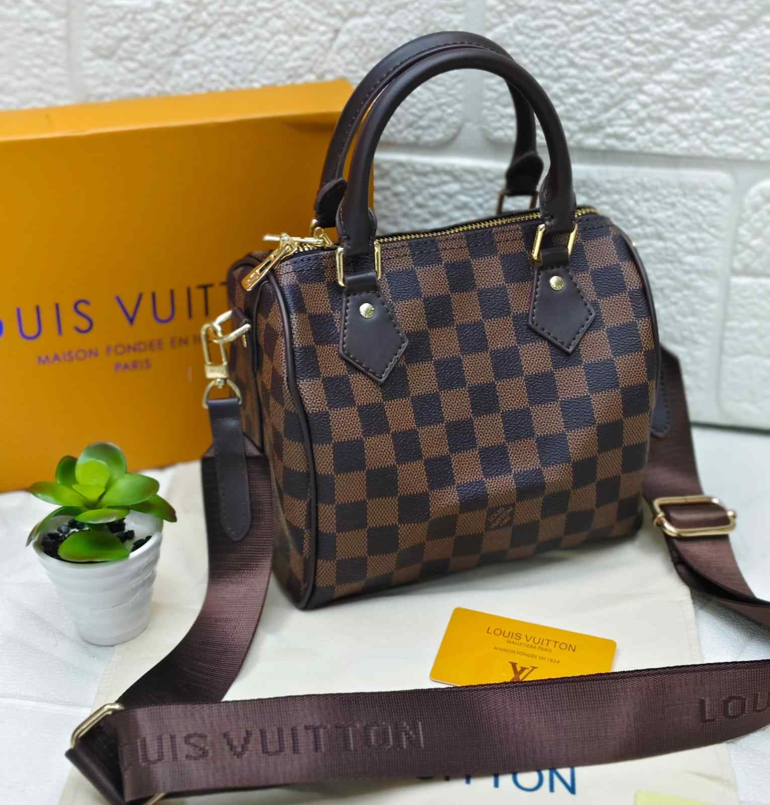 LV Bag