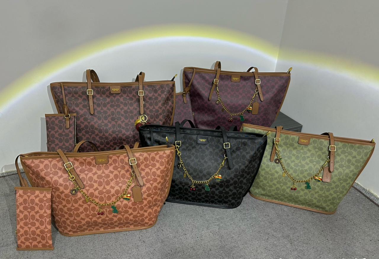 Best Quality Coach with flexible height and weight